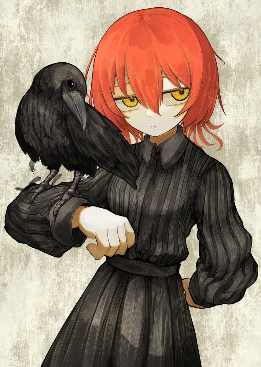 鯖〆牡丹 tweet media