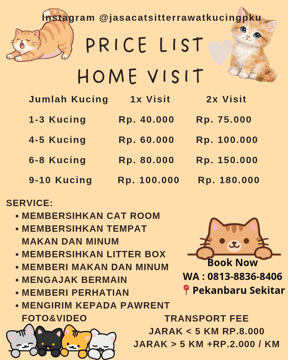 ••lana•• | Cat Sitter Pekanbaru Riau tweet media