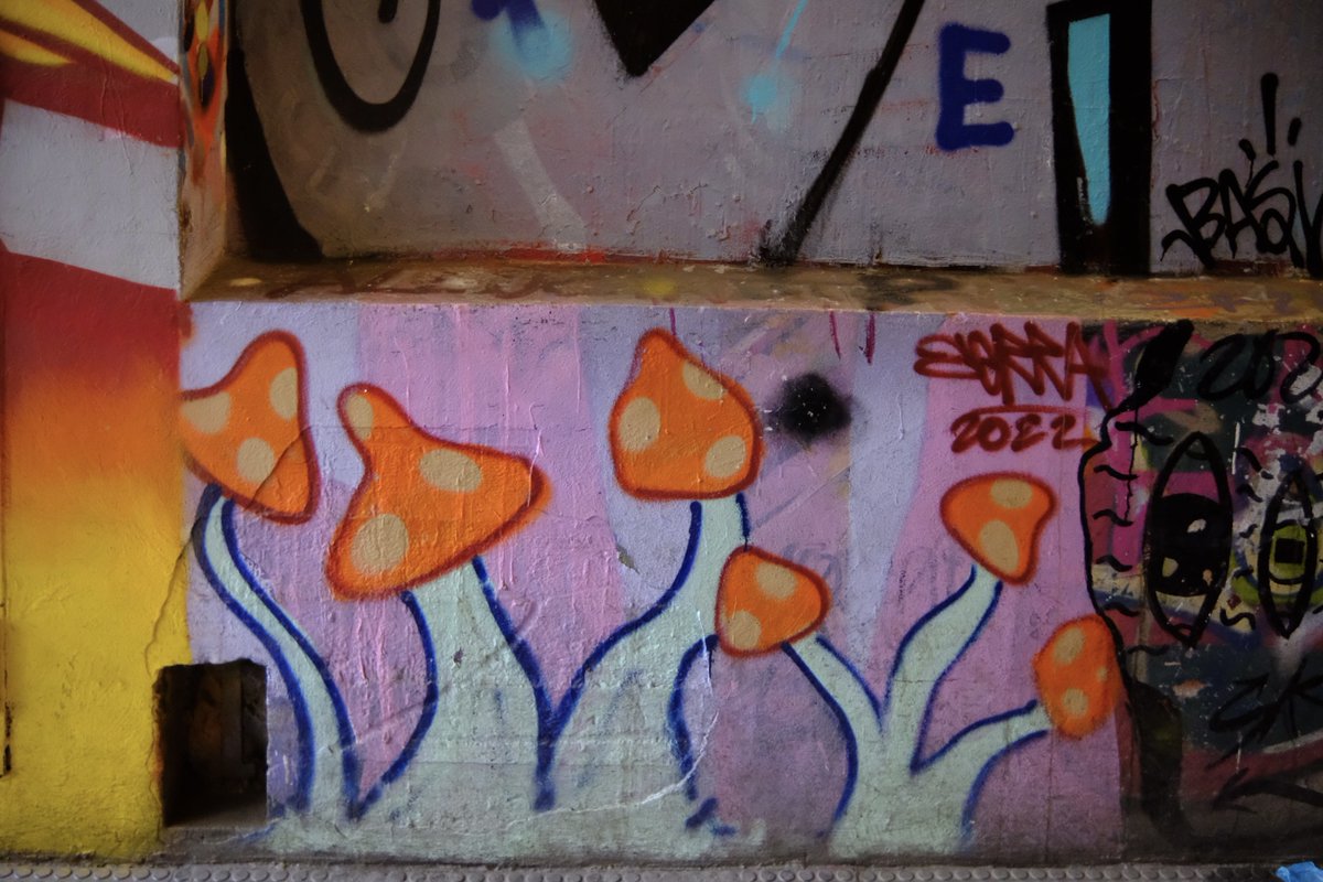 Portale Giovani tweet media