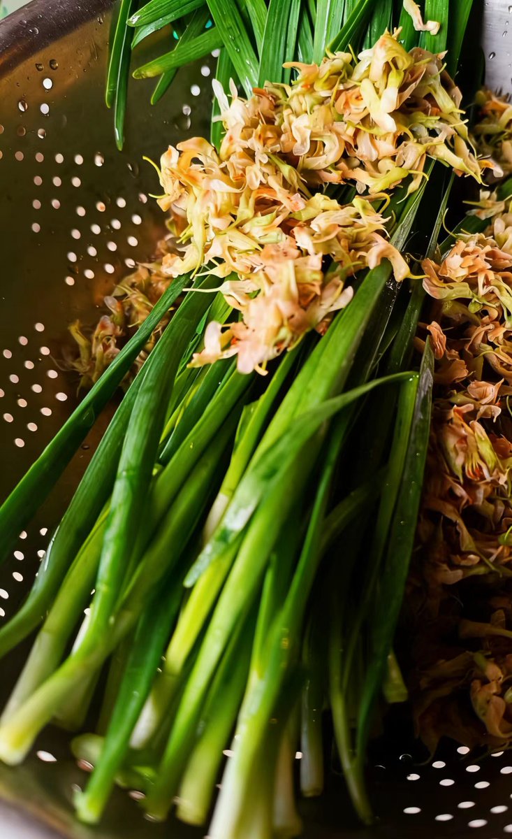 jerrymice tweet media