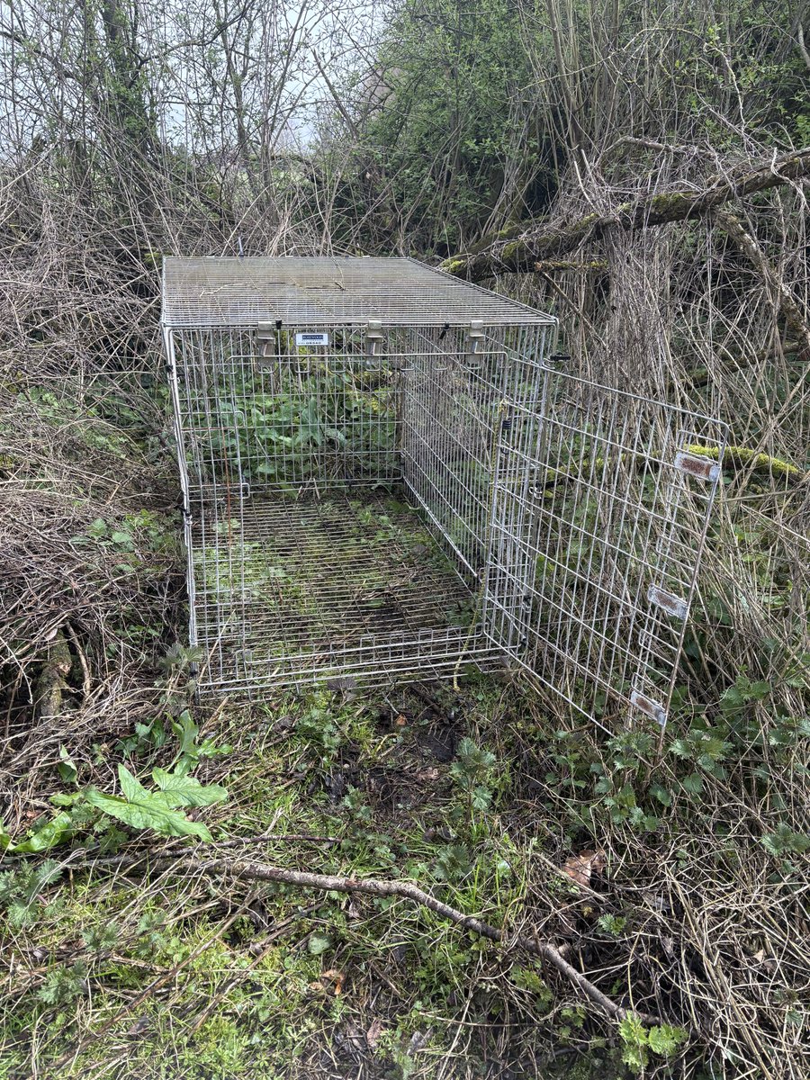 About_Maam's tweet photo. I moved the cage to a new spot today.

Somewhere quieter.

Would you step inside if I told you to? https://t.co/UGxnRO8zZL