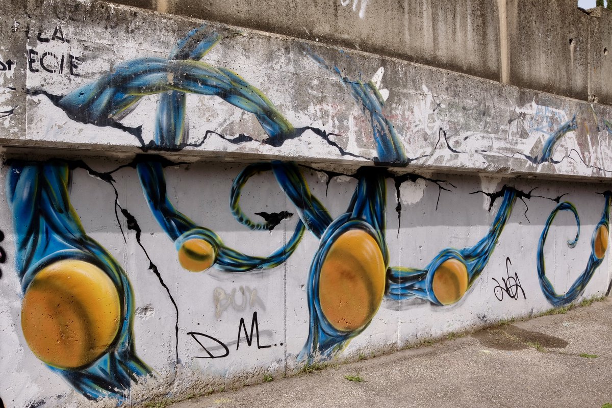 Portale Giovani tweet media