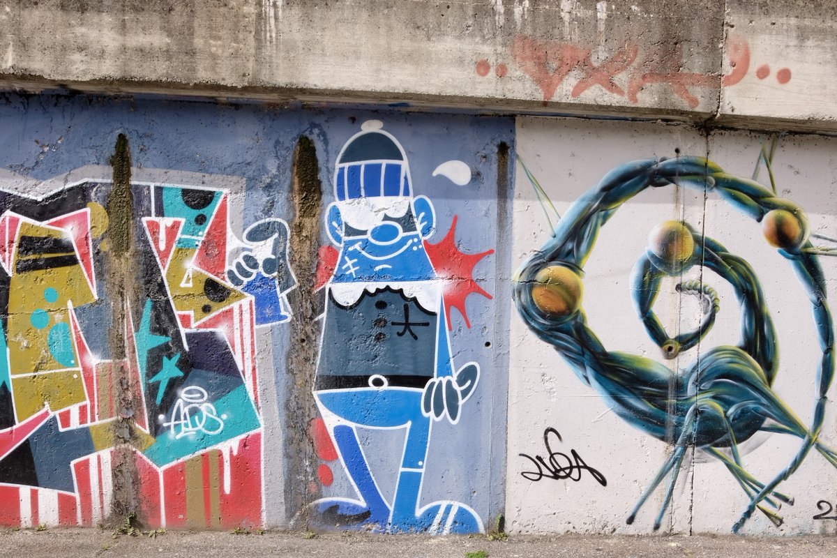 Portale Giovani tweet media