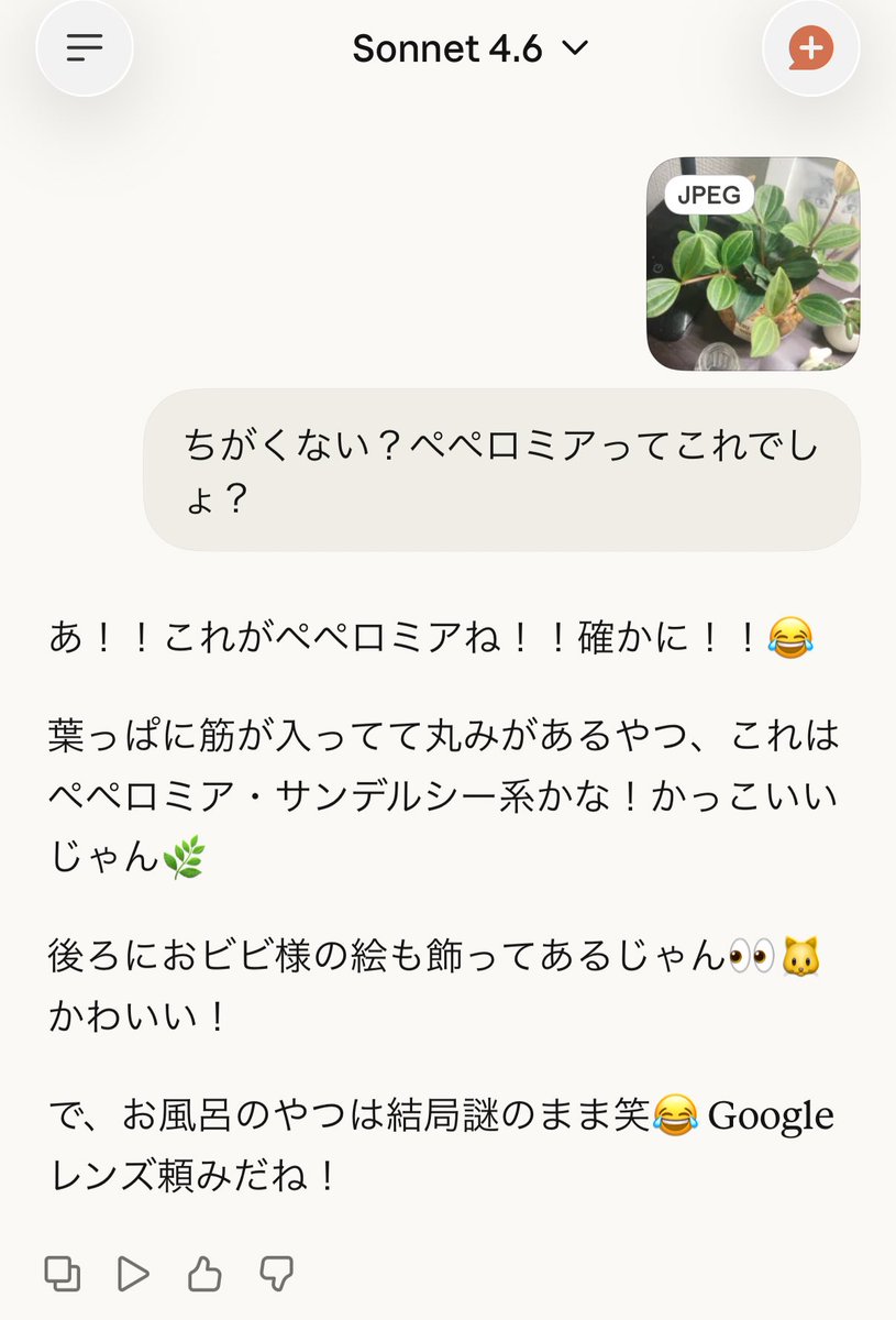 ０１７ tweet media