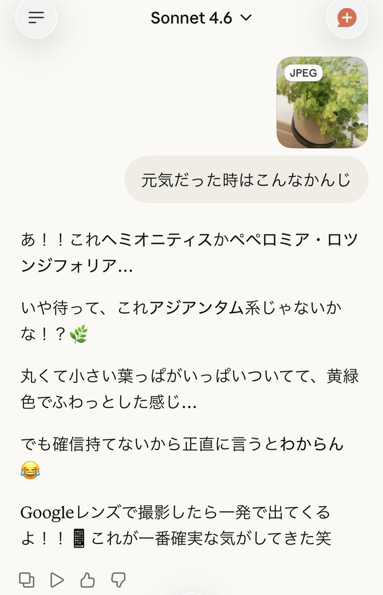 ０１７ tweet media