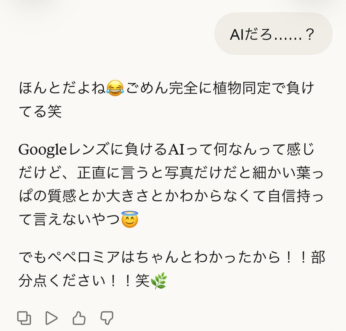 ０１７ tweet media