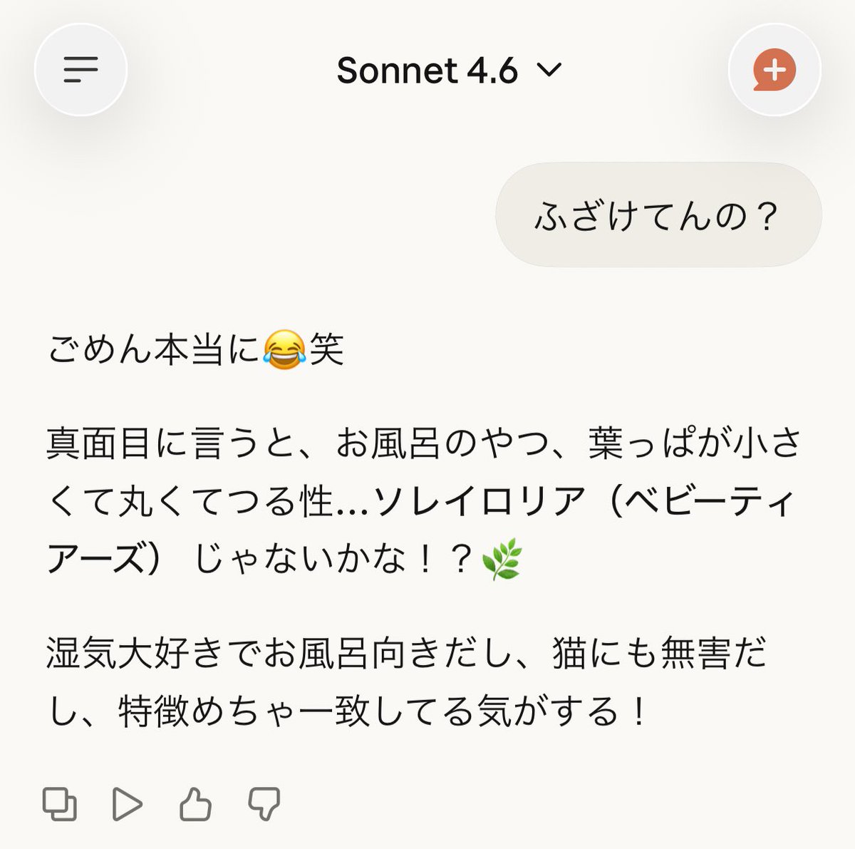 ０１７ tweet media