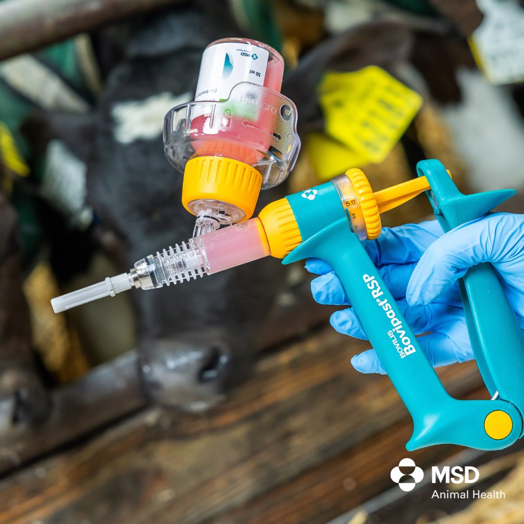 MSD Animal Health - Livestock tweet media