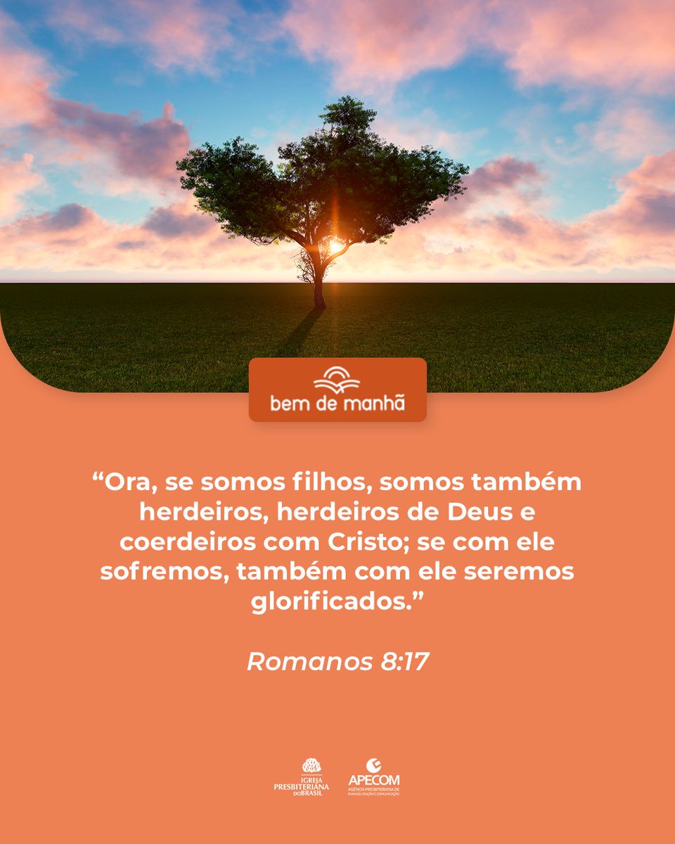 Igreja Presbiteriana tweet media