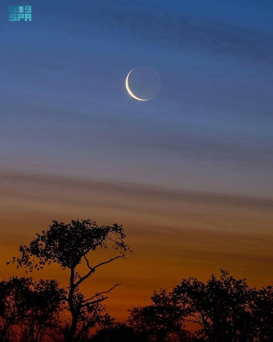 واس العلمي tweet media