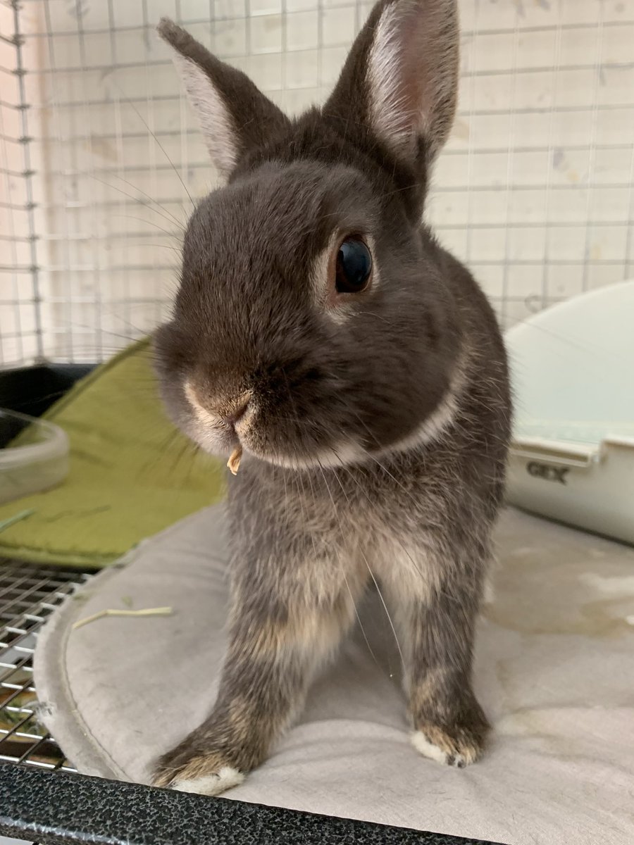 ほほえみり tweet media