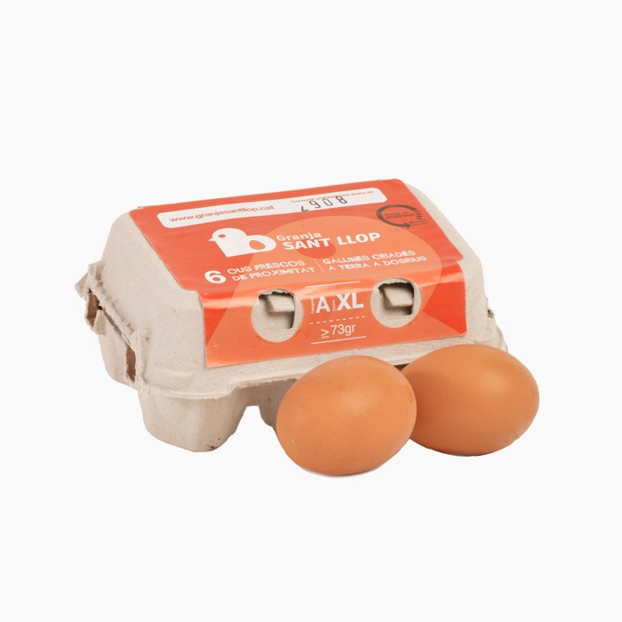 ToRReNeT tweet media