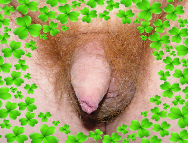 SmallPenisPositivity tweet media