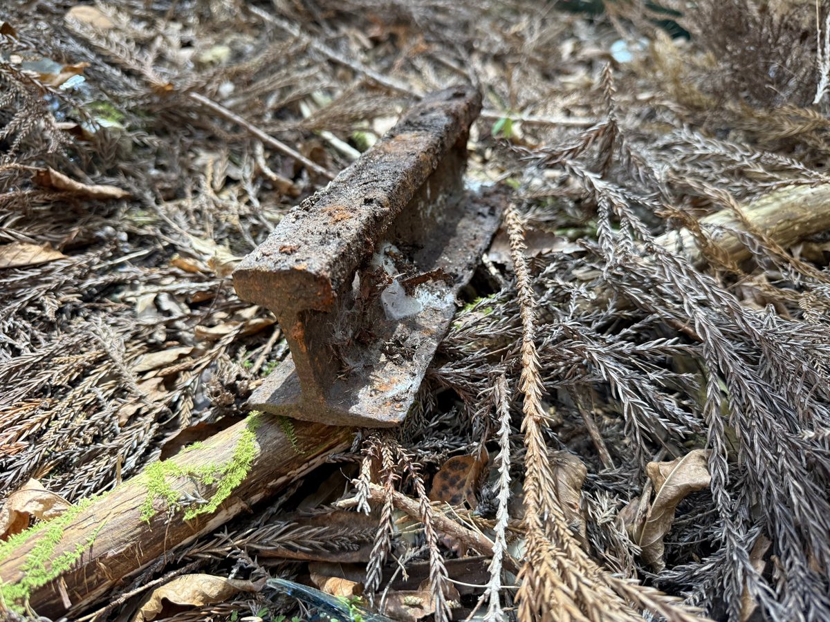 おさじん tweet media