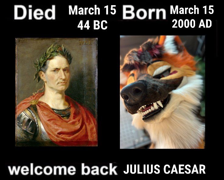 Roman Legatus tweet media