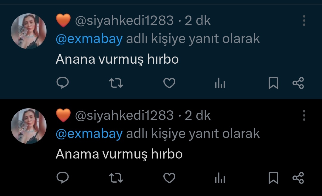 exmabay's tweet photo. @siyahkedi1283 Annendir o https://t.co/jMDbL08zGK