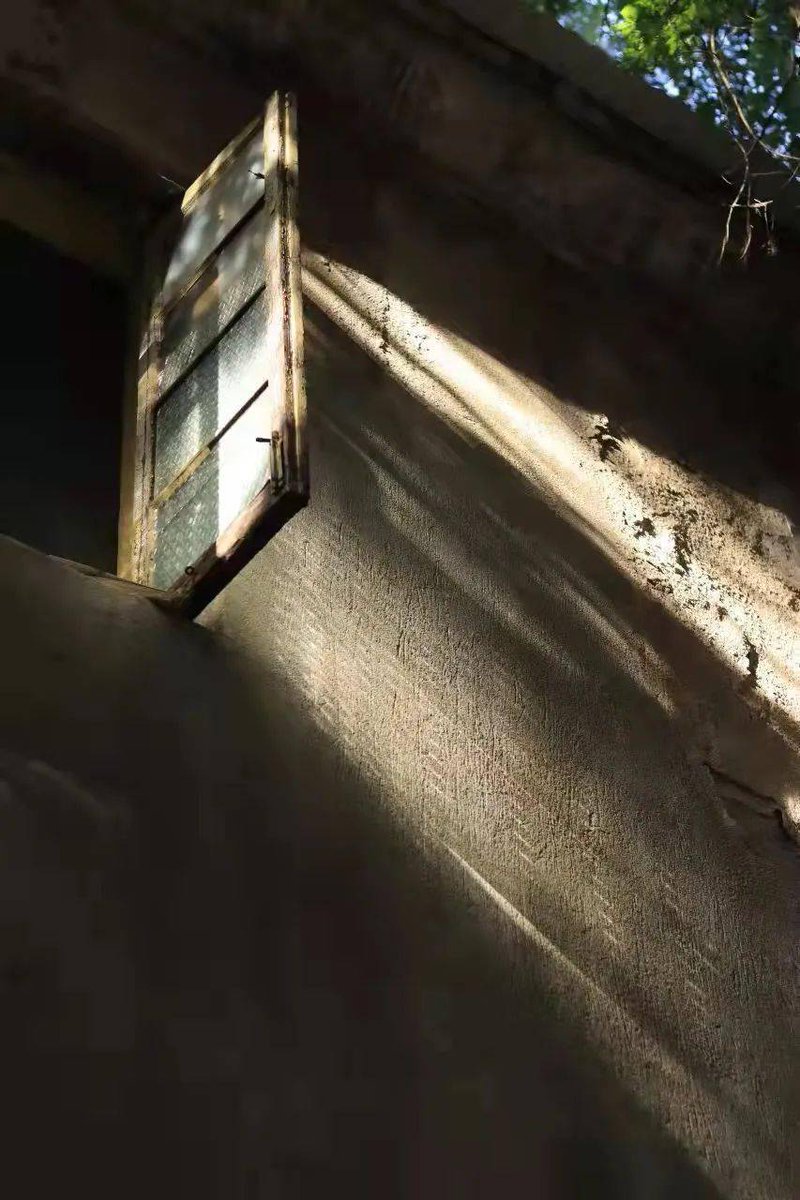 AerisXF .🌕 tweet media