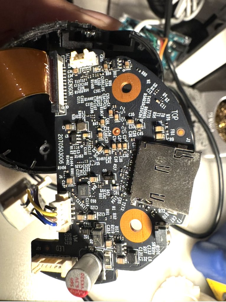 eleven red pandas tweet media