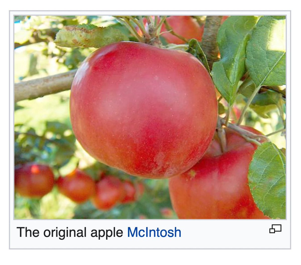 saraaaaaaa 💽 tweet media