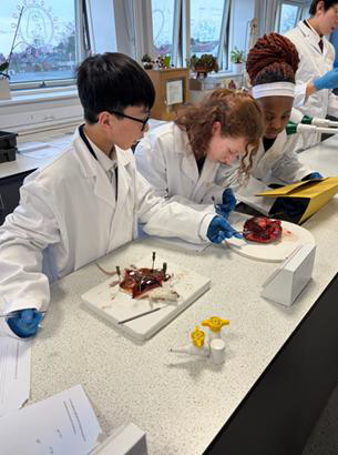 Moorside High School tweet media