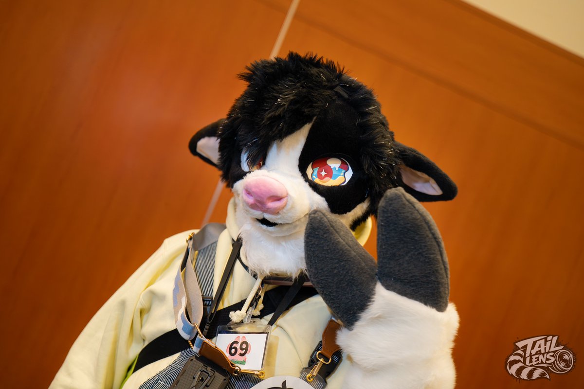 TailLens(テイルレンズ)🦝📸▶未定 tweet media