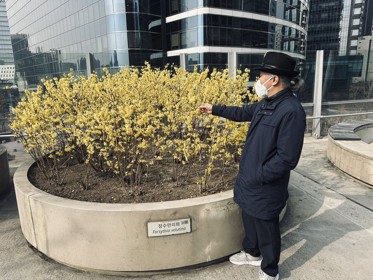 #마포호랑이# tweet media