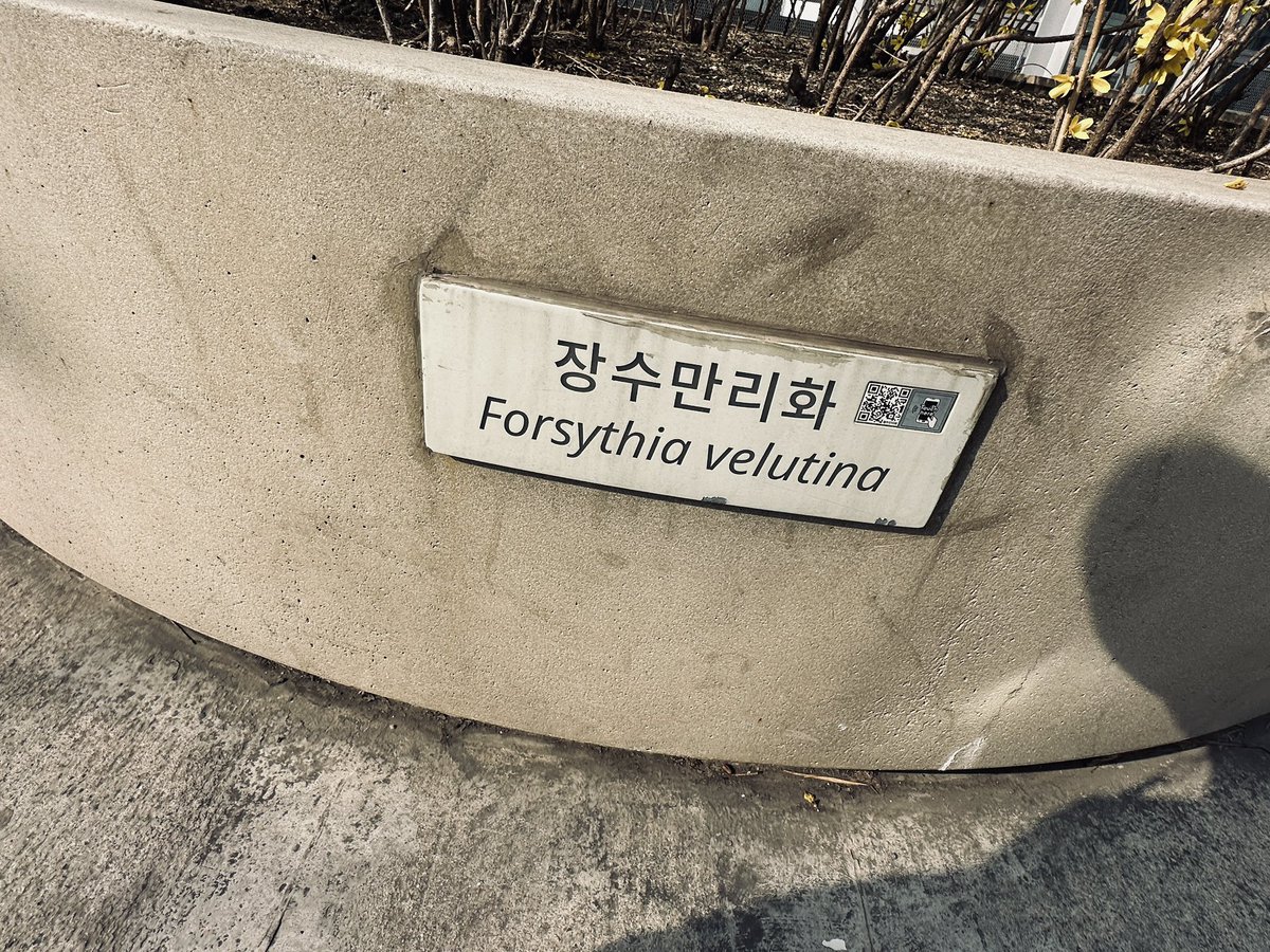 #마포호랑이# tweet media