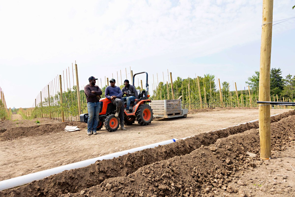 More than a Migrant Worker tweet media