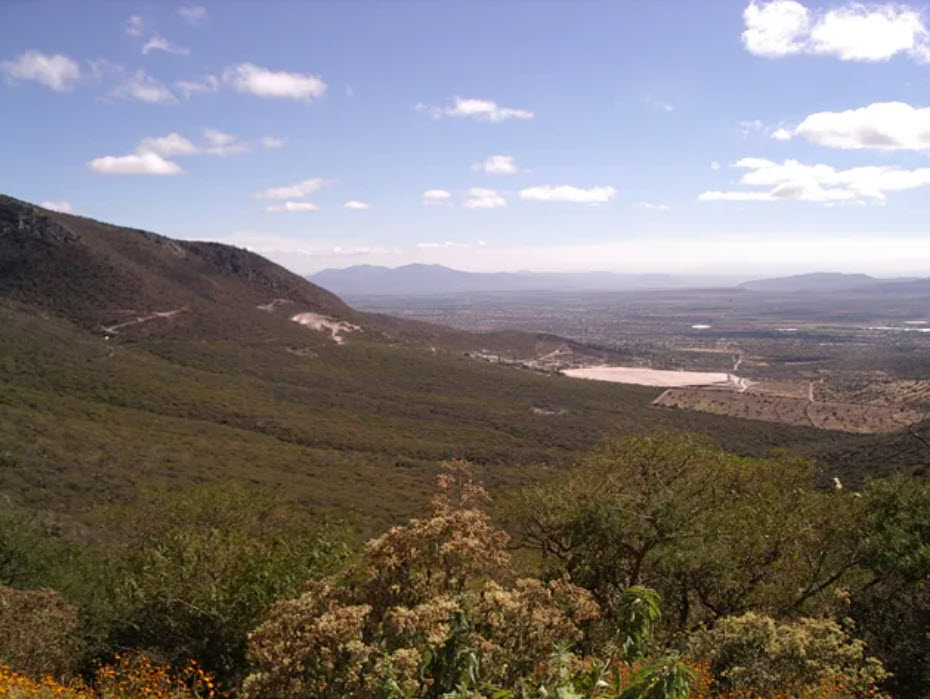 Starcore International Mines Ltd. tweet media