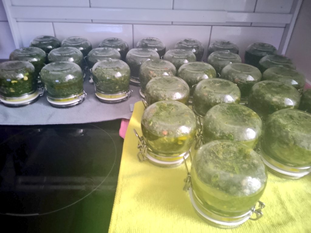 Maître Moni 🐇🇨🇭 😺 Heidi von der Bärlauch-Alm. tweet media