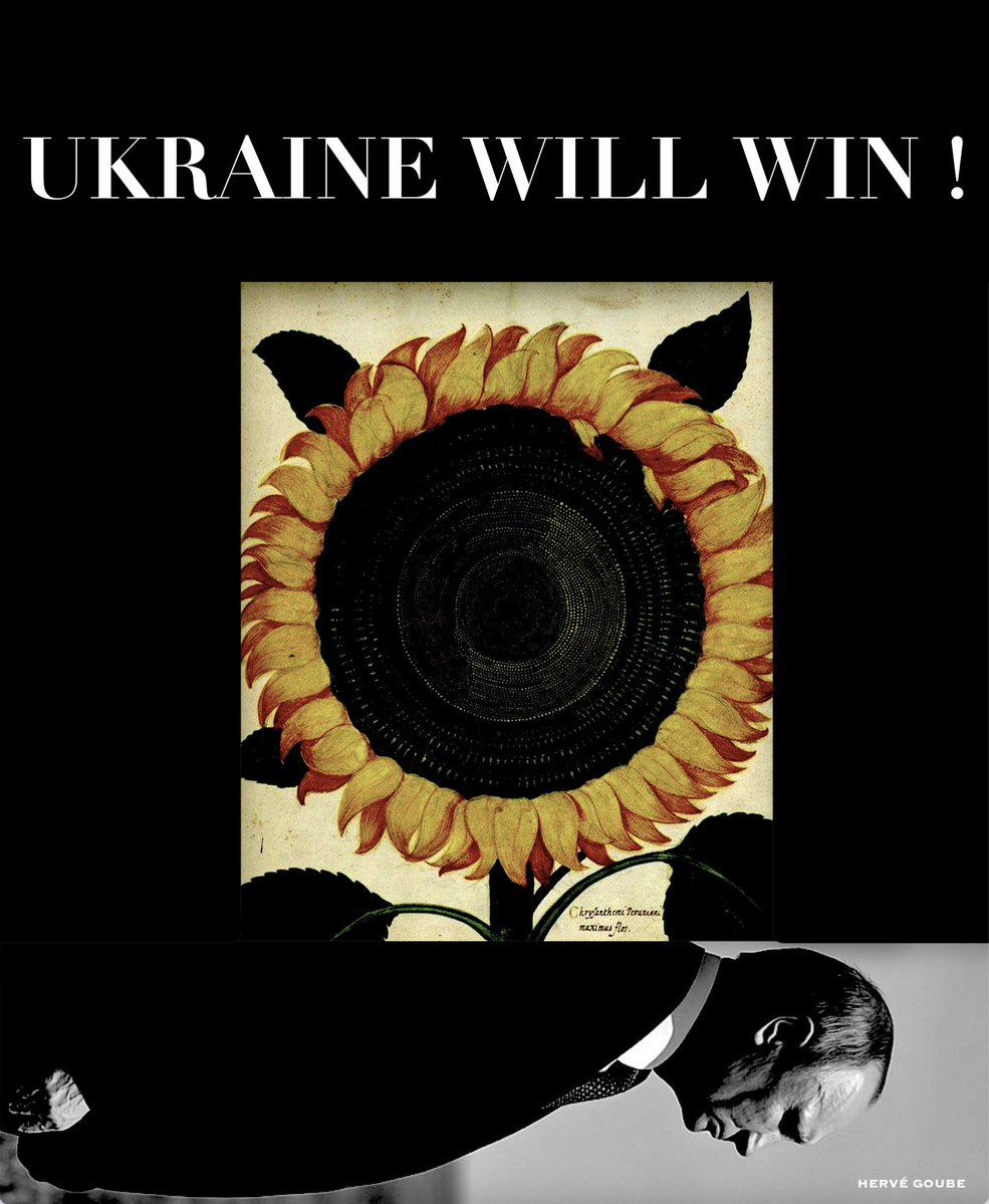 Hervé GOUBE tweet media