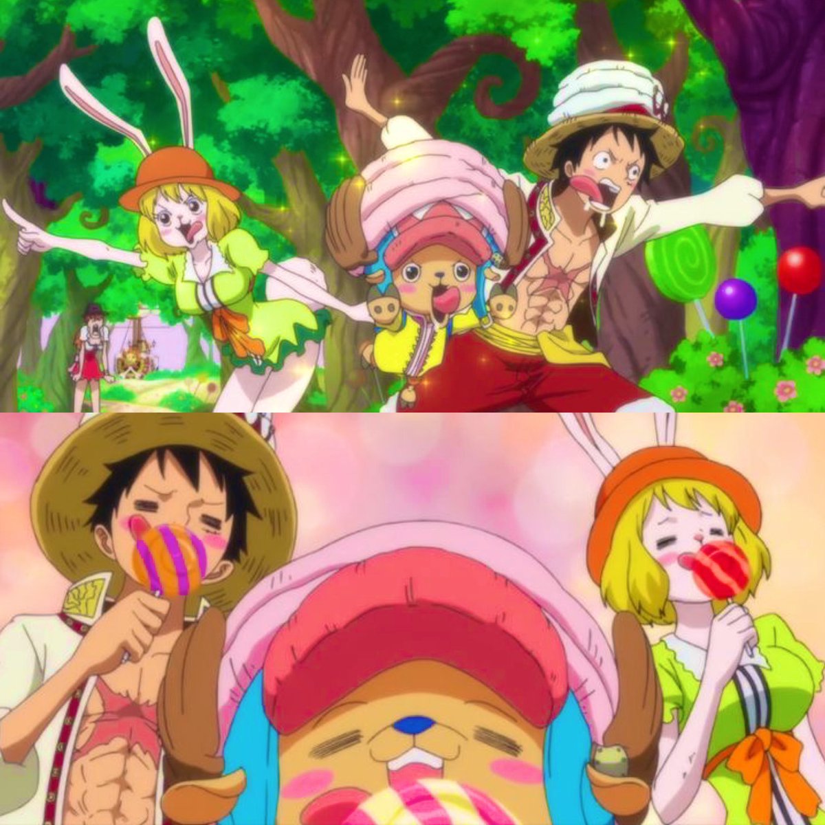 キャロット 🥕 tweet media