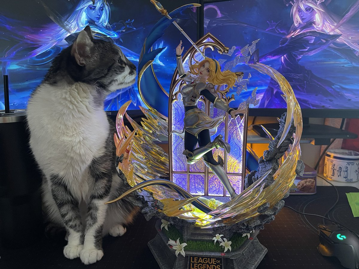 ✨ Daily Lux ✨ tweet media