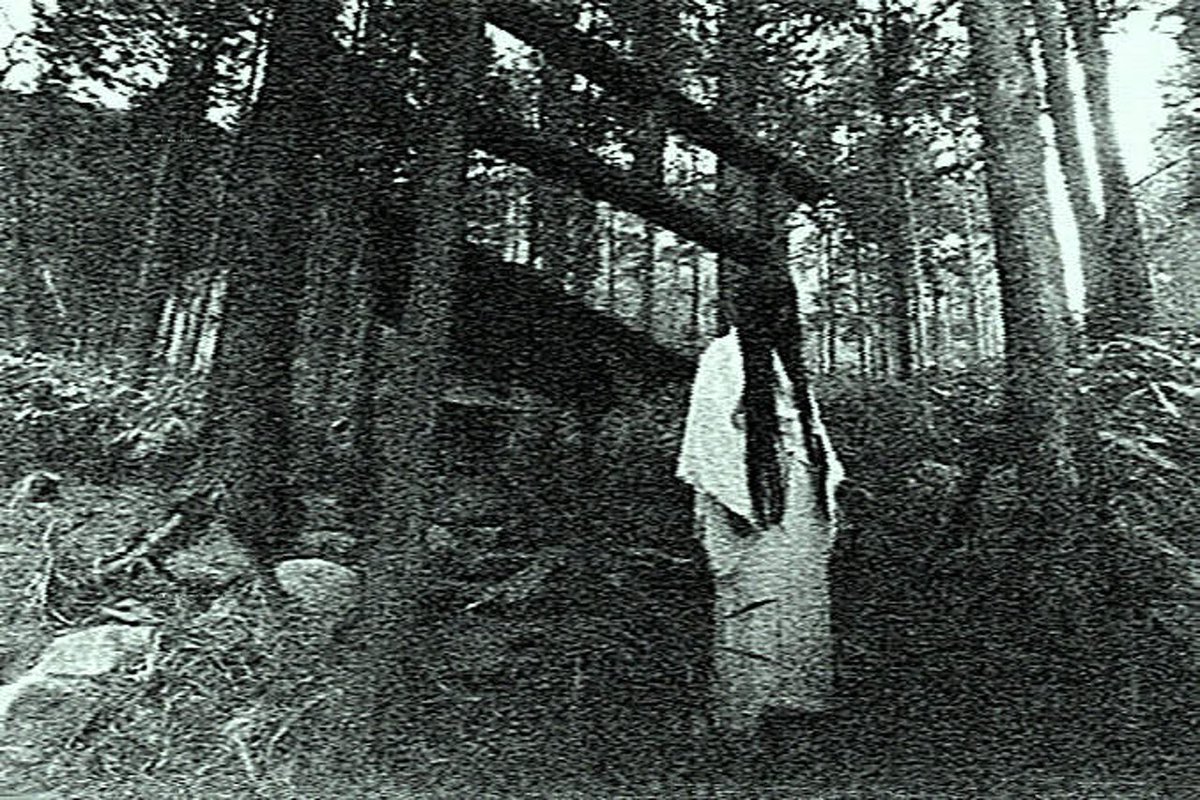 ISO感度1638400で撮ったノイズだらけの写真を平成初期ビデオ風にして