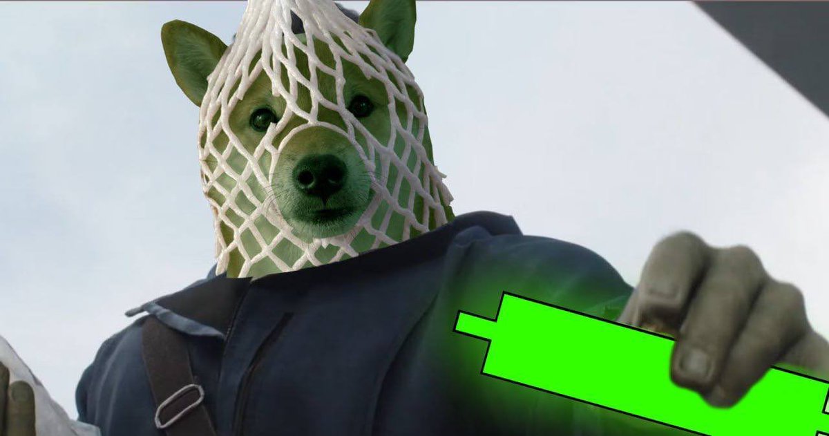 Wrapped Dog Favorites tweet media