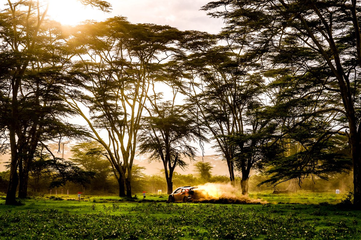 FIA World Rally Championship tweet media