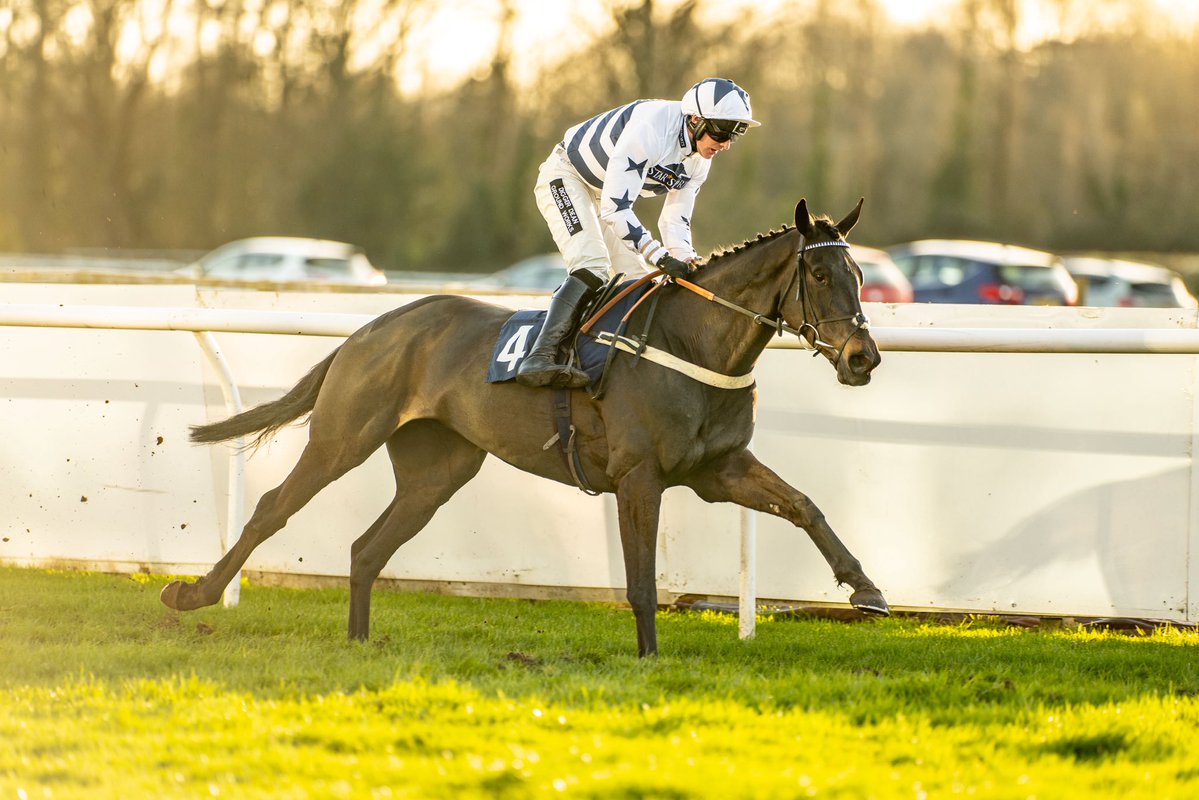 Basher Watts tweet media