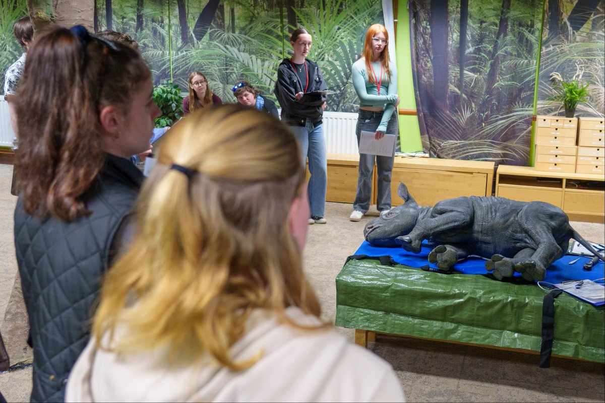 London Zoo tweet media