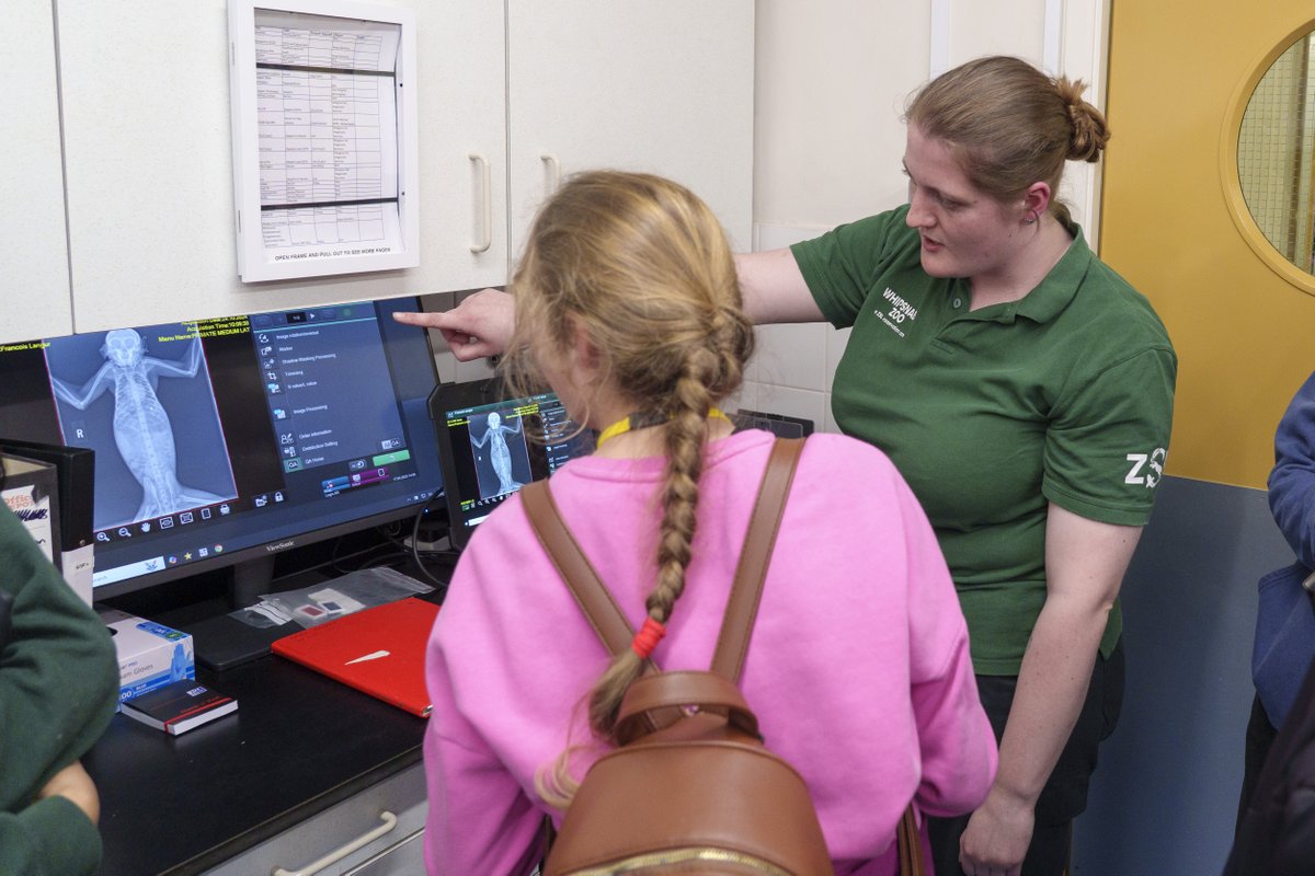 London Zoo tweet media