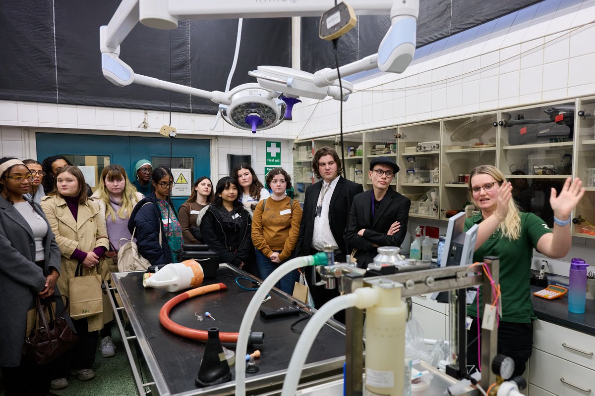 London Zoo tweet media