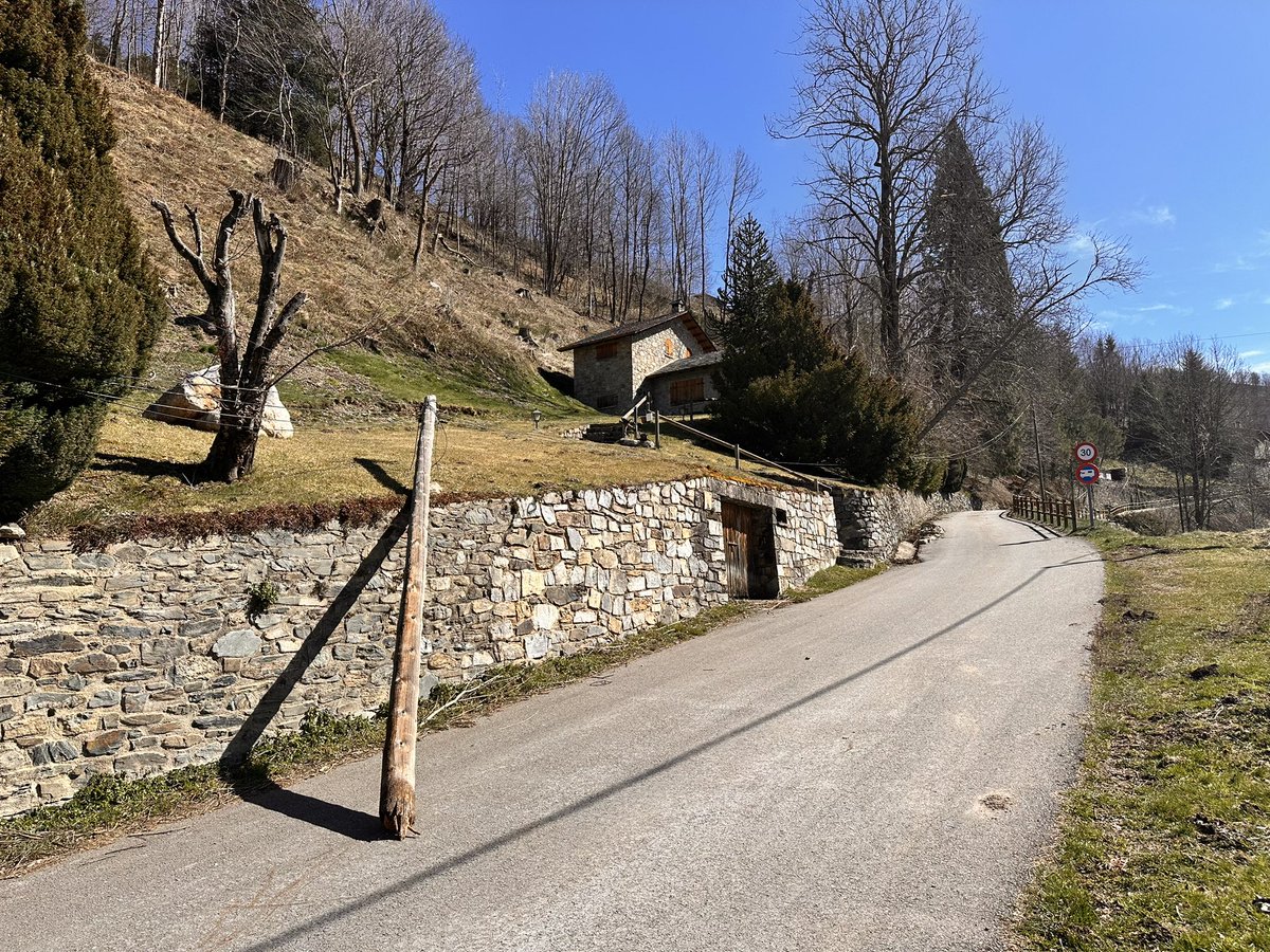 Pep Coma 🎗 tweet media