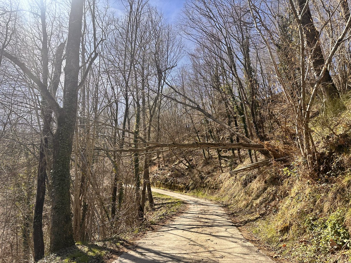 Pep Coma 🎗 tweet media