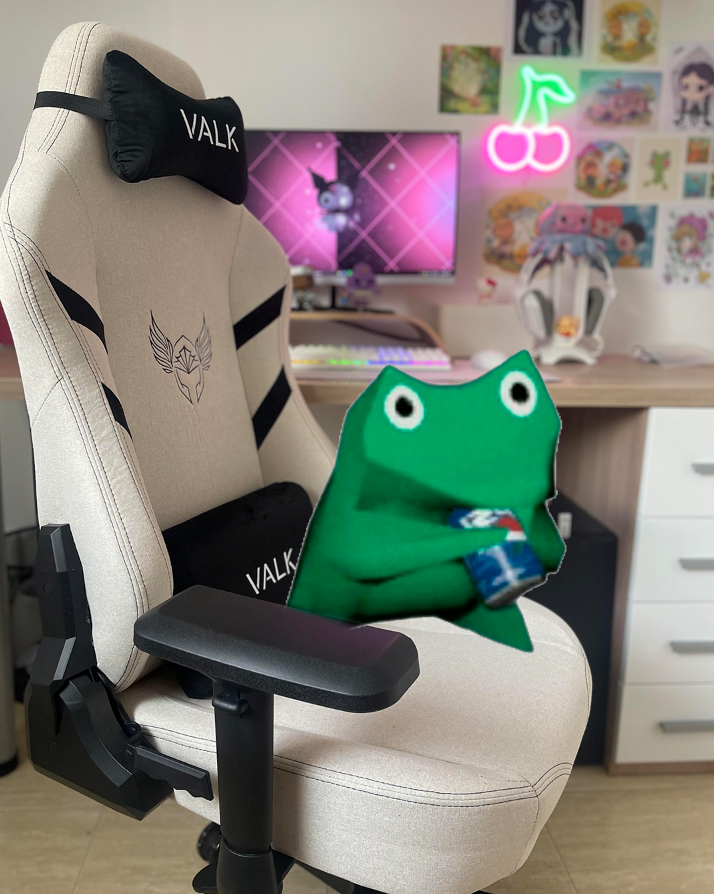 VALK GAMING tweet media