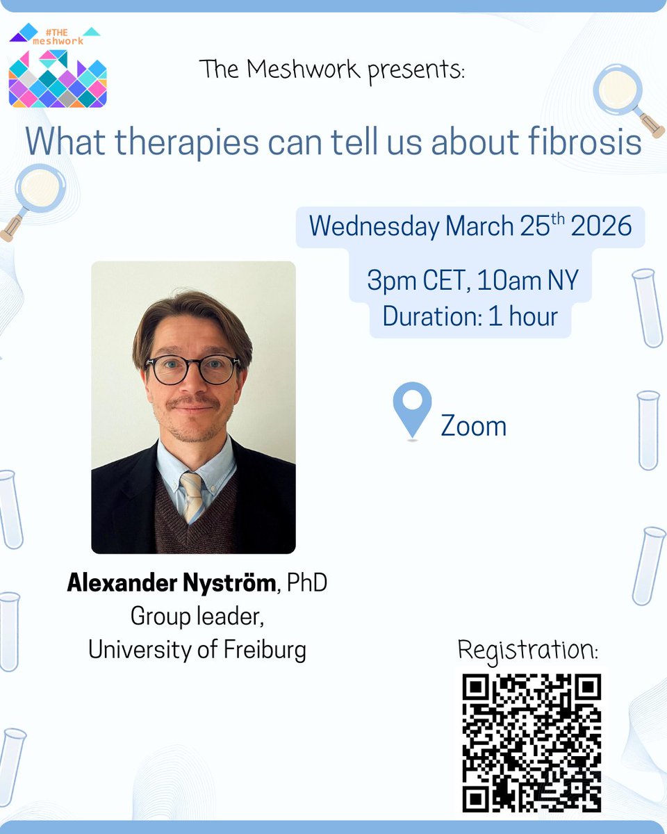 THEmeshwork tweet media