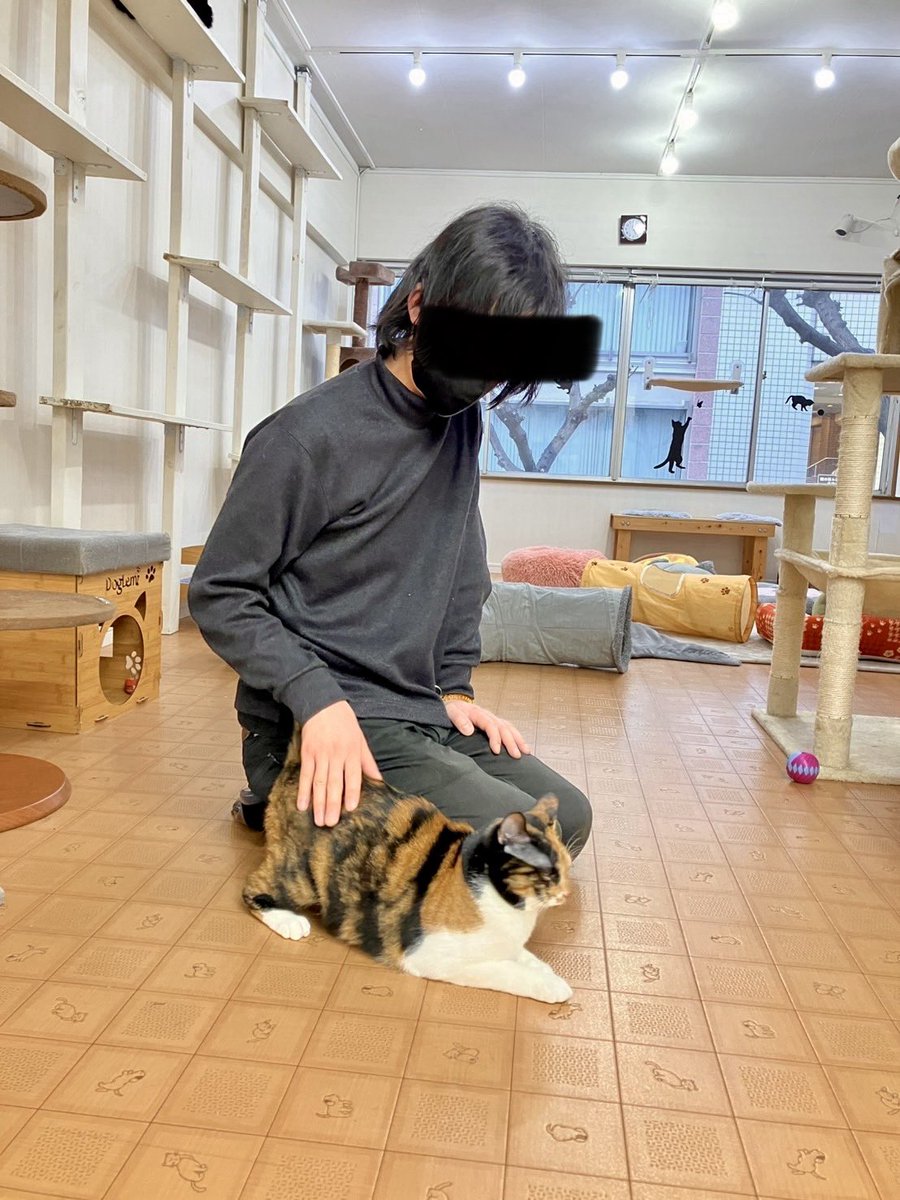 イワイ tweet media