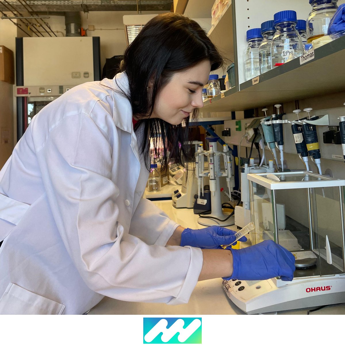 iPlantMicro Lab tweet media