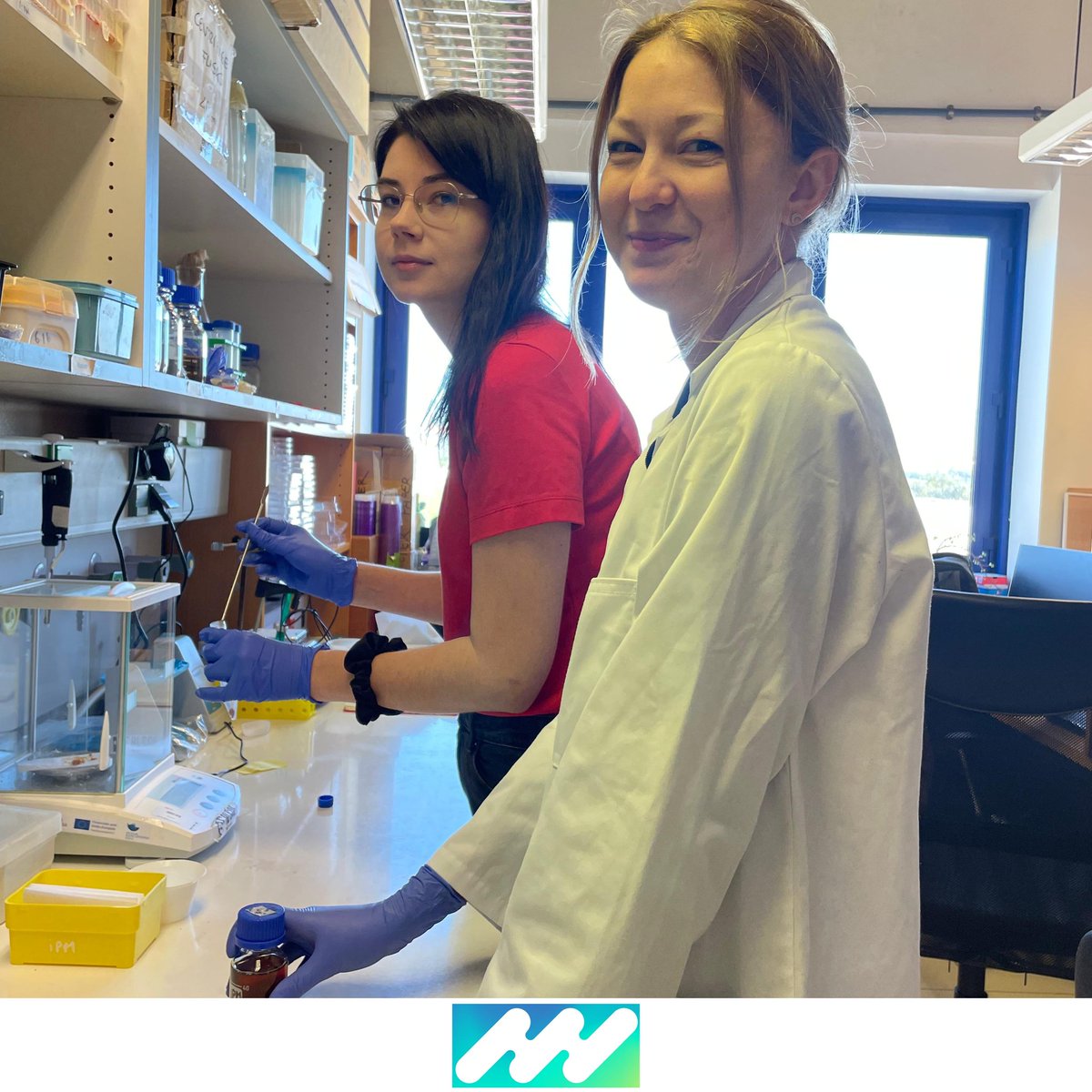 iPlantMicro Lab tweet media