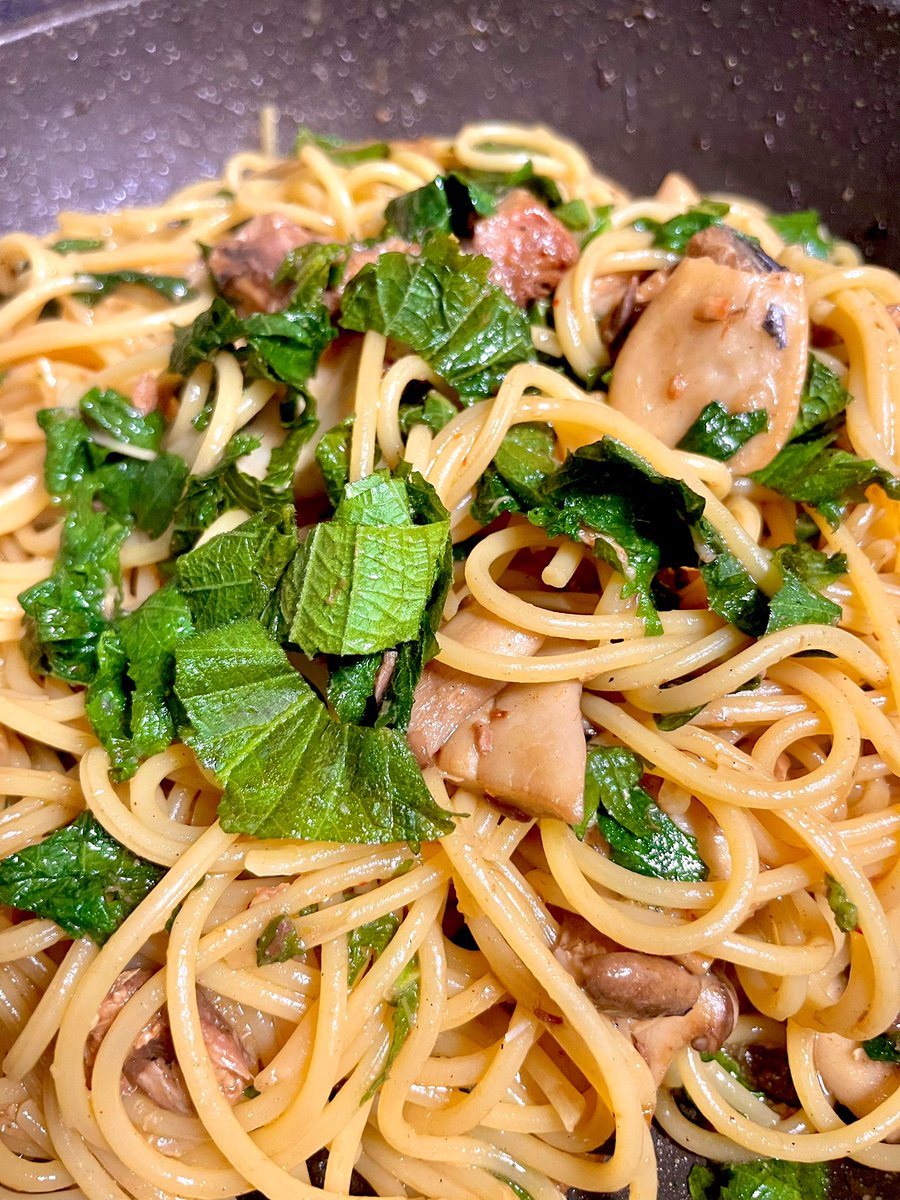 サイバーおかん⚡️ tweet media