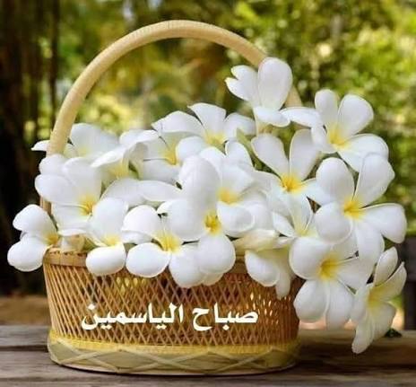 nagahlibya's tweet photo. ✍ عش كما تريد، واصنع تفاصيل نفسك،
تقدَّم بالطريق الذي تحبُّه أنت ويرضاه ربُّك،
فهذه حياتك أنت وأنت الذي ستعيشها" ❤️
✍ صباح الياسمين🌸 https://t.co/KKALVgT5UZ
