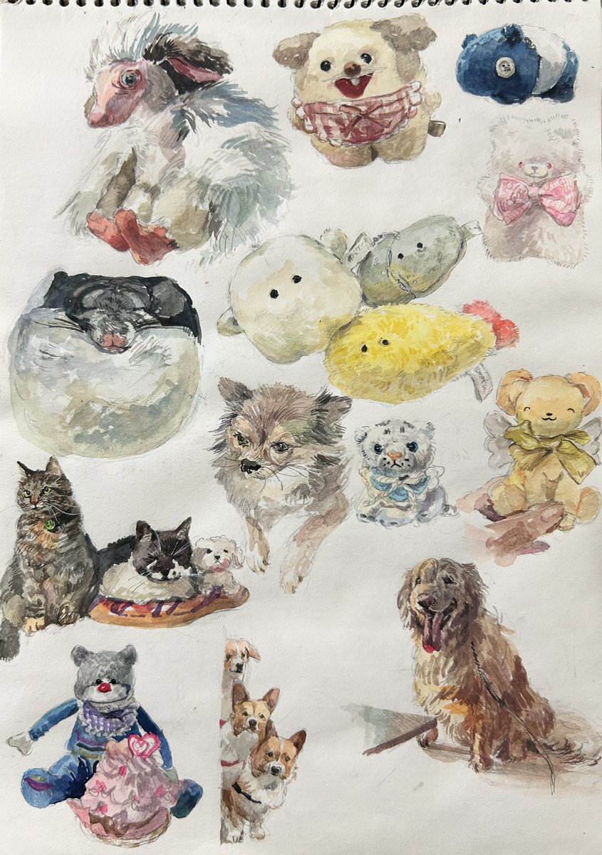 いか豆 tweet media